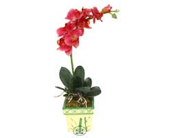 Yapay Phalonepsis Pembe   Ankara Sincan �i�ek g�nderme sitemiz g�venlidir 