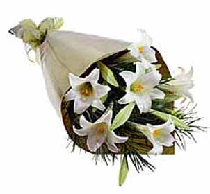 4 adet kazabllanka �i�egi   Ankara Sincan �i�ek , �i�ek�i , �i�ek�ilik 