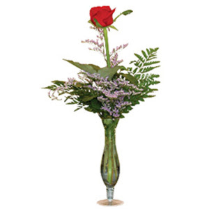 vazo i�erisinde tek g�l   Ankara Sincan �i�ek , �i�ek�i , �i�ek�ilik 