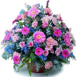 karisik mevsim kir �i�ekleri  Ankara Sincan �i�ek , �i�ek�i , �i�ek�ilik 