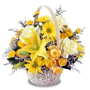 sadece sari �i�ek sepeti   Ankara Sincan �i�ek , �i�ek�i , �i�ek�ilik 