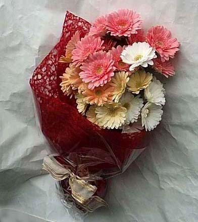 19 adet karisik gerbera buketi  Ankara Sincan hediye sevgilime hediye �i�ek 