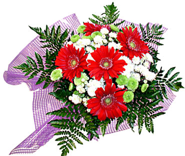 gerbera ve krizantem demeti  Ankara Sincan �i�ek sipari�i vermek 