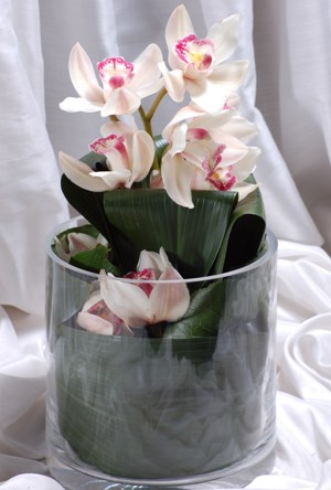  Ankara Sincan uluslararas iek gnderme  Cam yada mika vazo ierisinde tek dal orkide