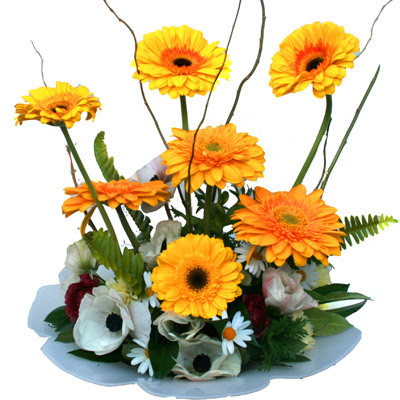 camda gerbera ve mis kokulu kir �i�ekleri  Ankara Sincan �i�ek�i ma�azas� 