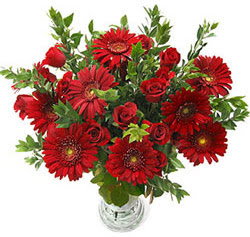 5 adet kirmizi g�l 5 adet gerbera aranjmani  Ankara Sincan internetten �i�ek sipari�i 
