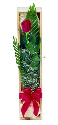 1 adet kutuda kirmizi g�l  Ankara Sincan �i�ek , �i�ek�i , �i�ek�ilik 