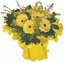  Ankara Sincan �i�ek sipari�i vermek  9 adet sari g�zel gerbera