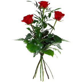  Ankara Sincan �i�ek servisi , �i�ek�i adresleri  3 adet k�rm�z� g�lden buket