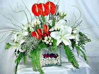  Ankara Sincan �i�ek yolla , �i�ek g�nder , �i�ek�i   Anthurim Kazablanka  g�l