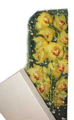  Ankara Sincan hediye �i�ek yolla  Kutu i�erisine dal cymbidium orkide