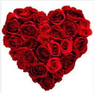  Ankara Sincan �i�ek servisi , �i�ek�i adresleri  19 adet k�rm�z� g�lden kalp tanzimi