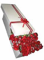  Ankara Sincan �i�ek�i ma�azas�  11 adet 1.kalite magnum g�ller