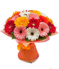 Renkli gerbera buketi  Ankara Sincan kaliteli taze ve ucuz �i�ekler 