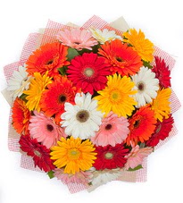 15 adet renkli gerbera buketi  Sincan �i�ek sipari�i Ankara Sincan �i�ek yolla 