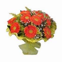  Ankara Sincan ucuz �i�ek g�nder  11 adet se�me gerbera �i�egi