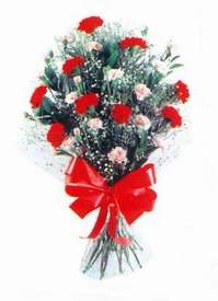 Ankara Sincan �i�ek�i ma�azas�  Karanfillerden g�zel bir demet