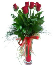 vazo i�erisinde 5 k�rm�z� g�l  Ankara Sincan �i�ek g�nderme sitemiz g�venlidir 