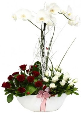 Tek dal beyaz orkide 8 beyaz 8 krmz gl  Ankara Sincan iek siparii sitesi 