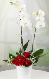 2 dall beyaz orkide 7 adet krmz gl  Ankara Sincan iek maazas , ieki adresleri 