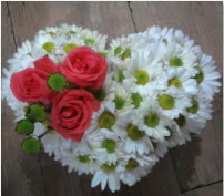 3 adet k�rm�z� g�l mika kalptte papatyalar  cicek siparisi Ankara Sincan cicek , cicekci 