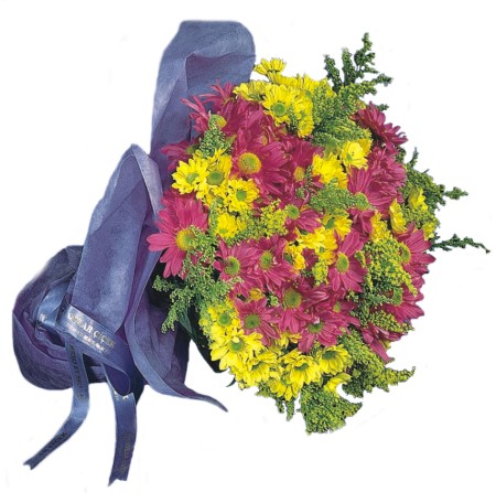  Ankara Sincan �nternetten �i�ek sipari�i  Mevsim Kir �i�egi buketi