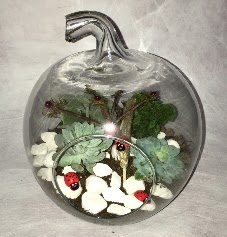 K���k terrarium elma 3 kakt�s  Ankara Sincan �i�ek yolla , �i�ek g�nder , �i�ek�i  
