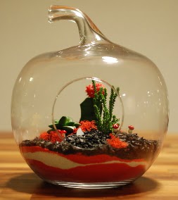 Elma Terrarium 3 kakt�s orta boy  Ankara Sincan �i�ek ma�azas� , �i�ek�i adresleri 