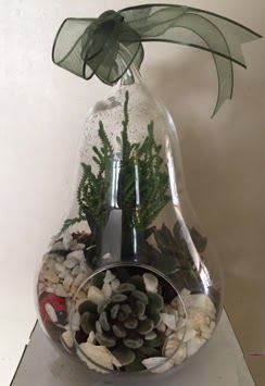 Orta boy armut terrarium 3 kakt�s  Ankara Sincan �i�ek g�nderme sitemiz g�venlidir 