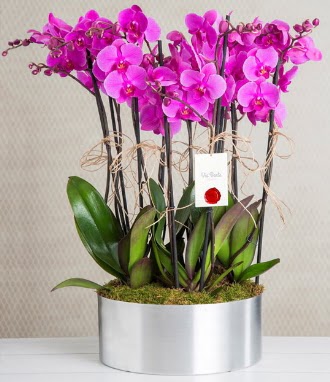 11 dall� mor orkide metal vazoda  Ankara Sincan �i�ek , �i�ek�i , �i�ek�ilik 
