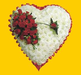  Ankara Sincan �i�ek�i telefonlar�  1.20m x 1.20m  Gerbera G�ller