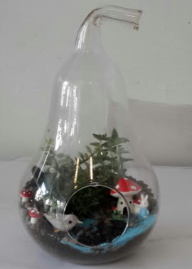 Armut orta boy cam terrarium  Online Ankara Sincan �i�ek sat��� 