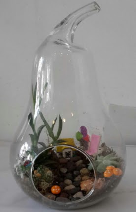 Orta boy cam armut terrarium  Ankara Sincan �i�ek sipari�i sitesi 
