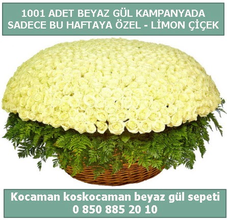 1001 adet beyaz g�l sepeti �zel kampanyada  Ankara Sincan �i�ek , �i�ek�i , �i�ek�ilik 
