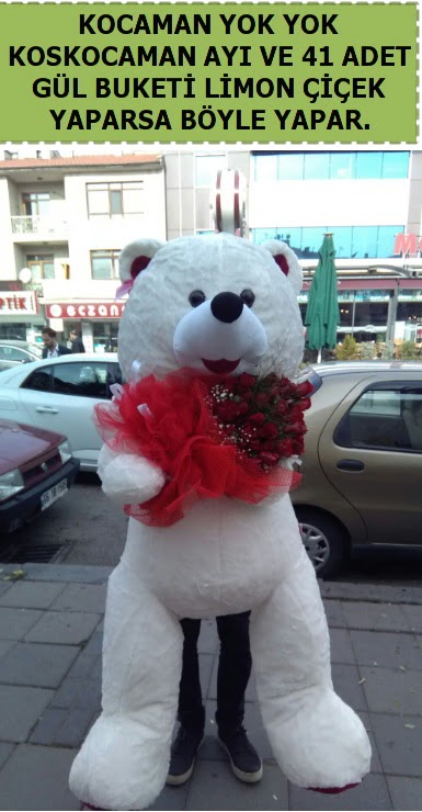 Koskocaman beyaz ay� ve 25 adet g�l  Ankara Sincan online �i�ek g�nderme sipari� 