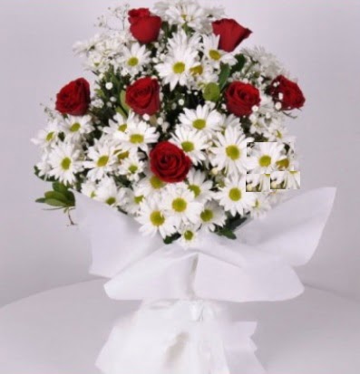 7 adet k�rm�z� g�l ve papatyalar krizantem  cicek siparisi Ankara Sincan cicek , cicekci 