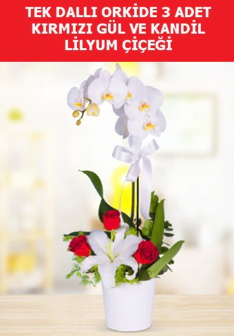 Tek dall orkide 3 gl ve kandil lilyum  Ankara Sincan ucuz iek gnder 