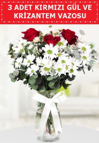 3 k�rm�z� g�l ve camda krizantem �i�ekleri  Ankara Sincan hediye �i�ek yolla 