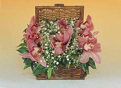  Ankara Sincan iek online iek siparii  Sepet ierisinde orkide