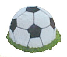 Ankara Sincan �i�ek online �i�ek sipari�i  Kalite futboll toplu pasta