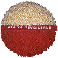 arma anitkabire - mozele i�in  Ankara Sincan �i�ek , �i�ek�i , �i�ek�ilik 