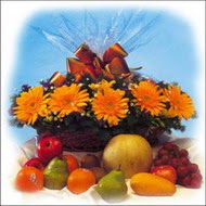 sepette gerbera ve meyvalar   Ankara Sincan �i�ek sipari�i vermek 