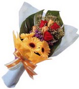 g�ller ve gerbera �i�ekleri   Ankara Sincan �i�ek , �i�ek�i , �i�ek�ilik 