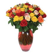 51 adet g�l ve kaliteli vazo   Ankara Sincan �i�ek , �i�ek�i , �i�ek�ilik 