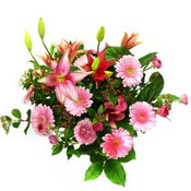 lilyum ve gerbera �i�ekleri - �i�ek se�imi -  Ankara Sincan hediye �i�ek yolla 