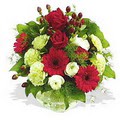 karanfil gerbera ve g�ller - d�s�nenelere �zel -  Ankara Sincan hediye �i�ek yolla 