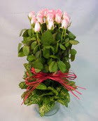 13 adet pembe g�l silindirde   Ankara Sincan ucuz �i�ek g�nder 