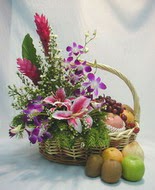orkide kazablanka ve sepet  Ankara Sincan ucuz �i�ek g�nder 