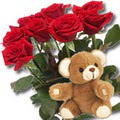 11 adet g�l ve ayicik buket   Ankara Sincan ucuz �i�ek g�nder 