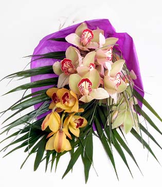  Ankara Sincan iek online iek siparii  1 adet dal orkide buket halinde sunulmakta